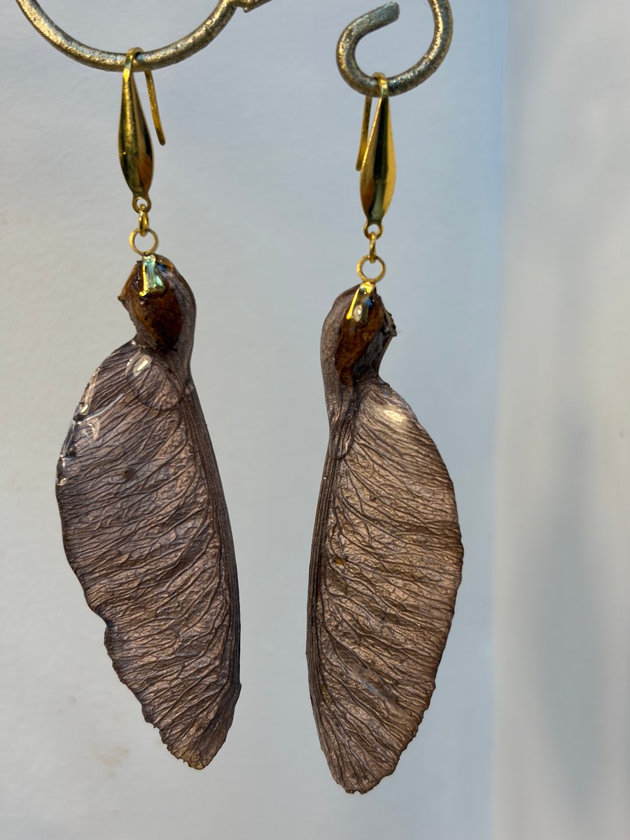 Sycamore rose pink earrings 