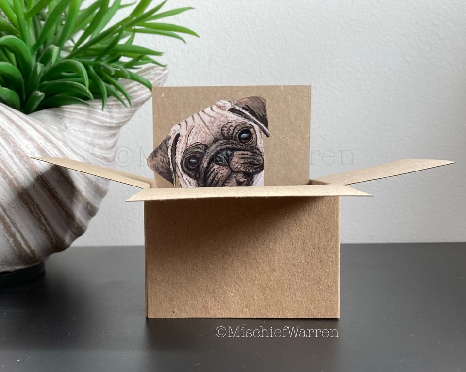 Pug in a Box Card. 3D blank or personalised for any occasion.