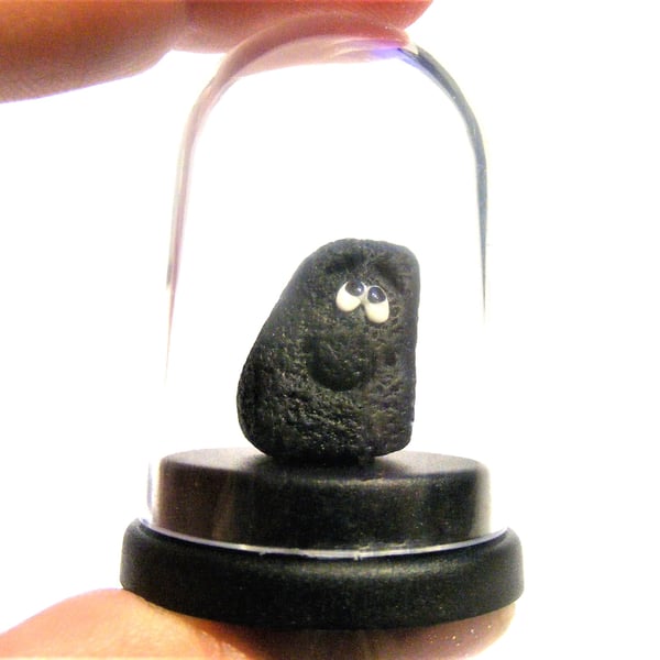 Pet Lump of Coal, Pet Coal, Christmas gift, Xmas gift, Bad boy girl gift