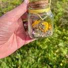 Fae Folk Meadow Jar – Pressed Flower Summer Cottagecore Decor