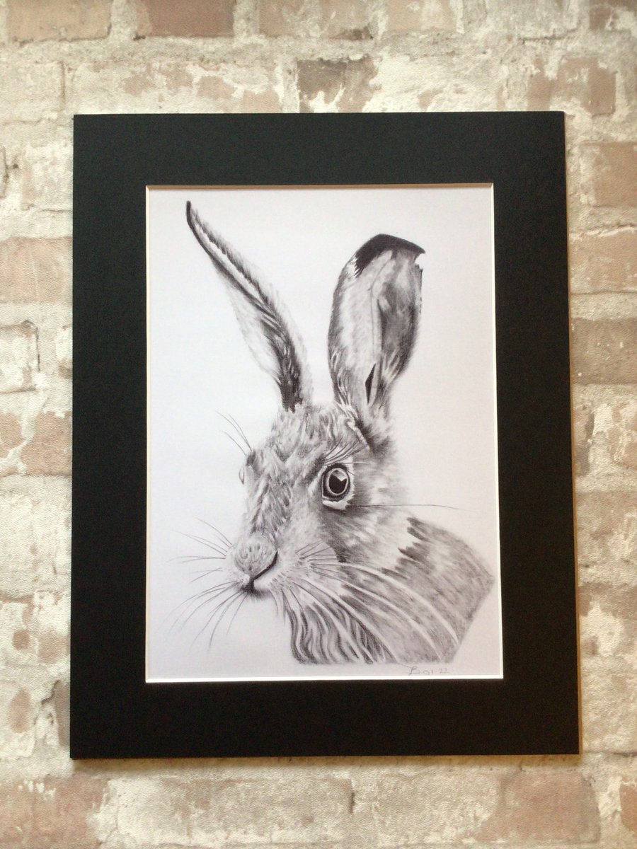 Hare print, hare art print, hare art, wildlife art, home decor, animal art print
