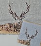 Stag greetings card, blank card, Wildlife - Image 3