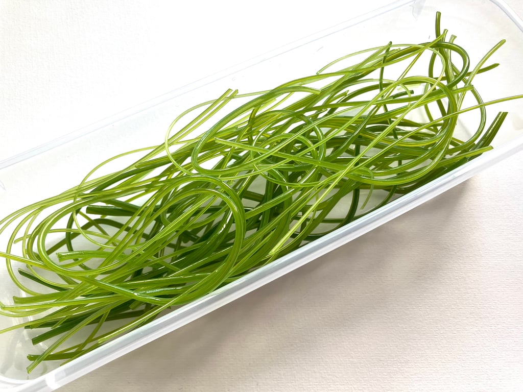 150g Mixed Green Bullseye 90 coe glass Vitrigraph stringers