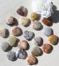 6 Crazy Lace Agate Solid Gemstone Polished Hearts - 20mm - Chakra - Crafting - Image 5