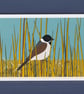 Reed bunting - bird art - bird print  - Image 3