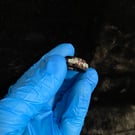 Resin ring with small and large glitter