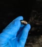 Resin ring with small and large glitter - Image 1