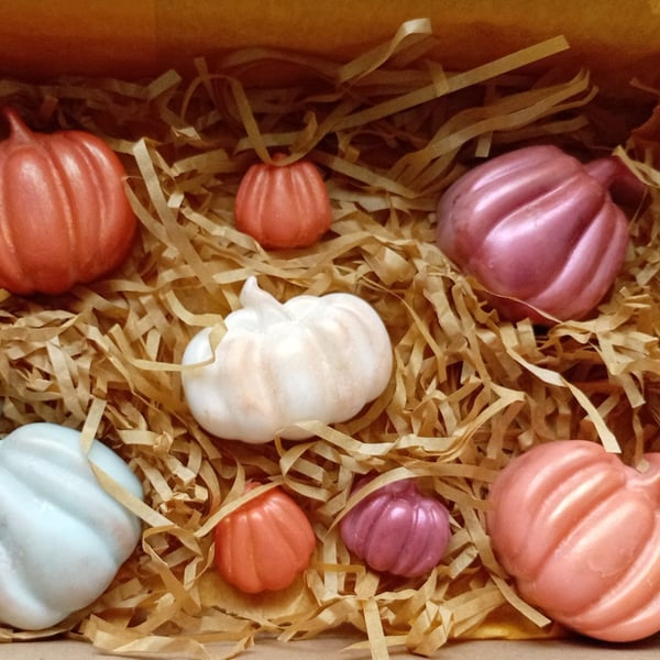 Autumn Treats Handmade Pumpkin Wax Melts 