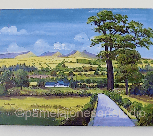 Pen Y Fan, Brecon Beacons, Original Acrylic Painting, on 16 x 12 '' Boxed Canvas