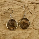 Tree earrings 