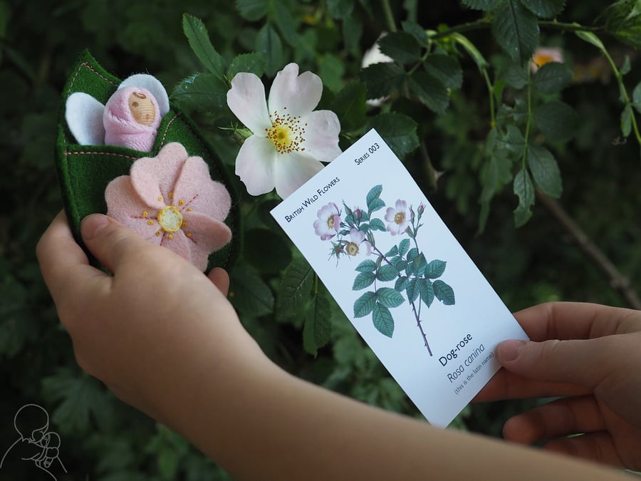 Rose flower fairy doll