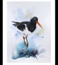 Oystercatcher, Professional Giclée Print. - Image 2