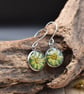 Sycamore Flower Resin Earrings, Green, 304 Stainless Steel, Made in Scotland - Image 5