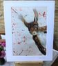 Giclee print of cheeky 'Red Squirrel' painting by artist Janet Bird - Image 2