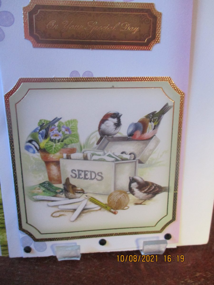 On Your Special Day Bird Seeds Card