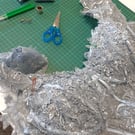 Absolute Beginners 1-2-1 Sewing Lesson