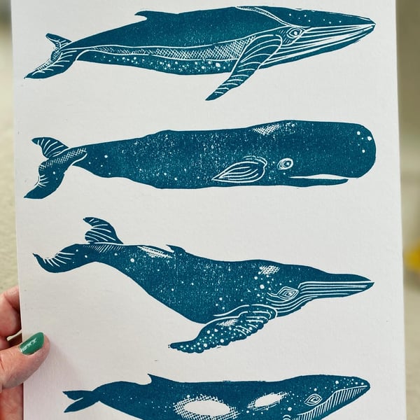 Teal whales linoprint ‘Les Baloines’