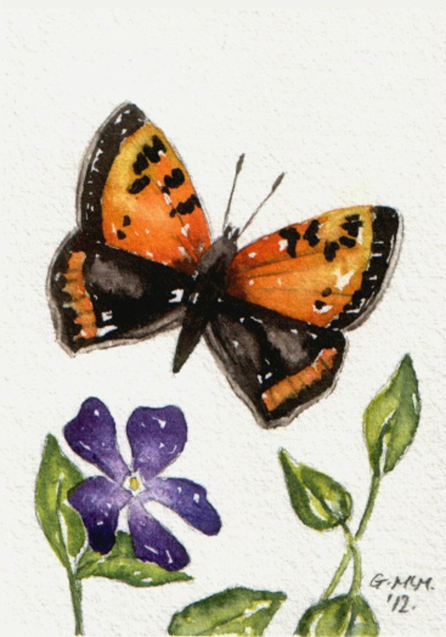 Original Watercolour ACEO - Small Copper Butterfly