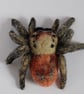 Jumping spider  - Image 4