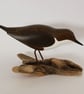 Dipper on driftwood - Image 1
