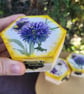 Honey Bee Hexagon Wooden Trinket Box,Lavender Floral Jewellery Storage,small box - Image 3