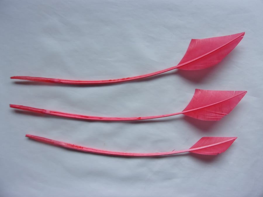 Bright Coral Striped Turkey Arrow Feathers x 3 Millinery Fascinator Craft Hat