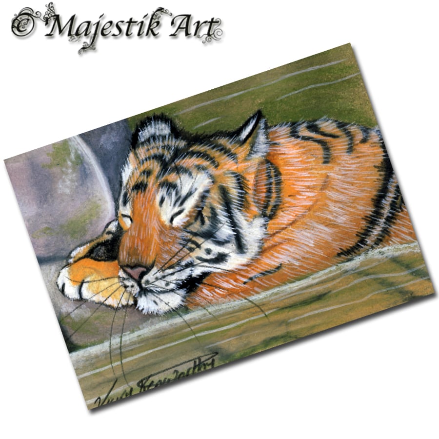 Archival ACEO Tiger Print 'Bathe' By V Kenworthy