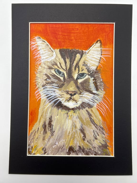 Original painting of a cat . 5x7" in acrylics pet portrait 