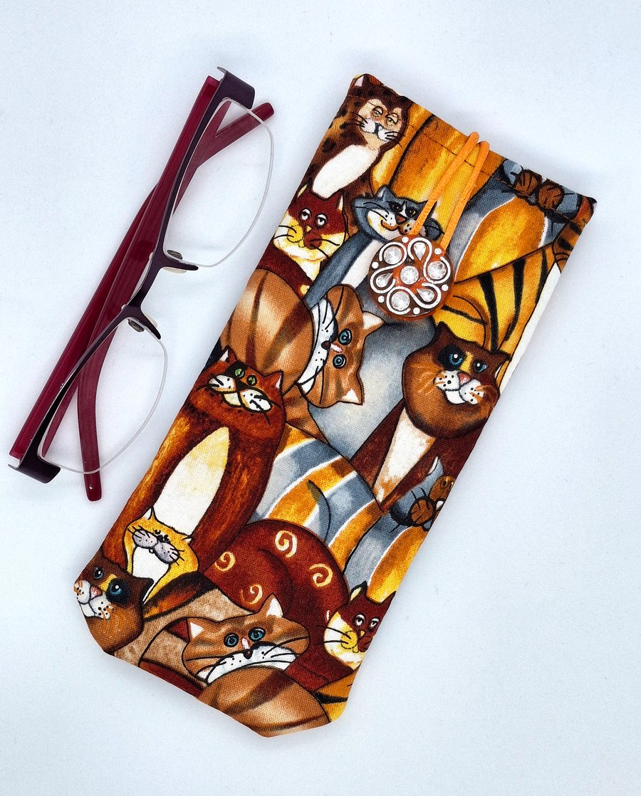 Ginger cats glasses or sunglasses case 47MF