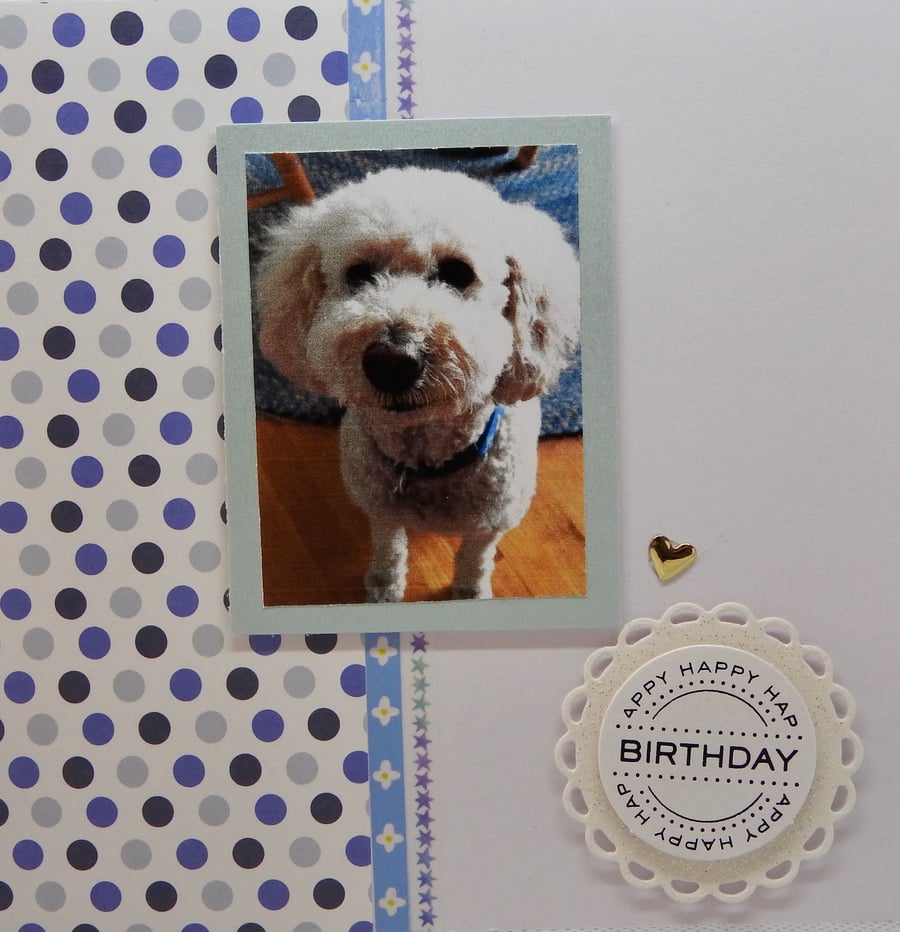 Personalised pet photo card 