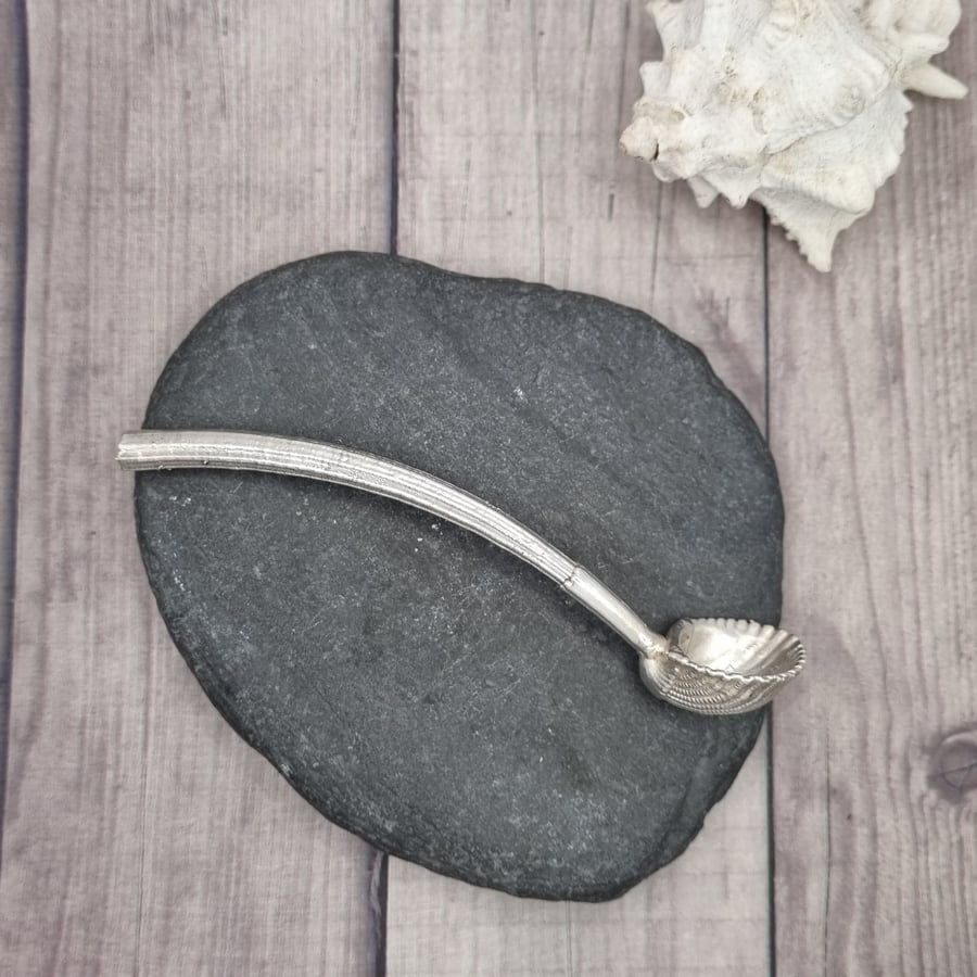 Real seashell made into spoon and preserved in silver, beautiful ornament 