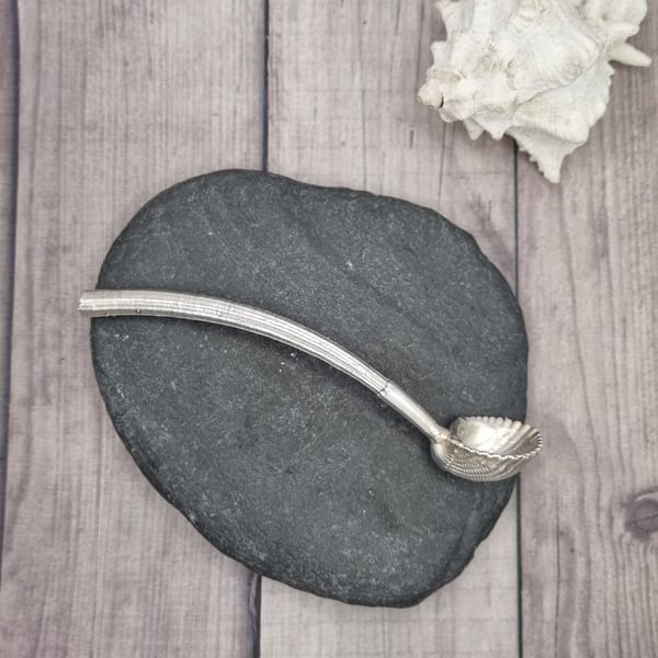 Real seashell made into spoon and preserved in silver, beautiful ornament 