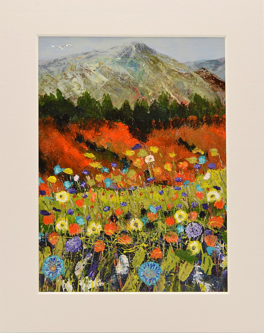 A Colourful Painting of Scottish Wildflowers in a Mountain Range. 10 x 8 inches.