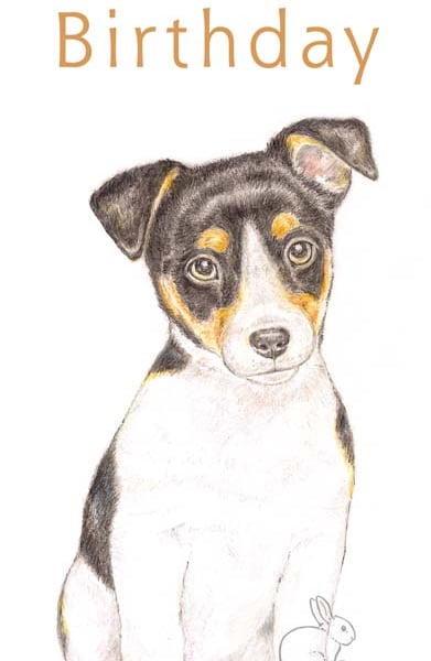 Jack the Jack Russell - Birthday Card