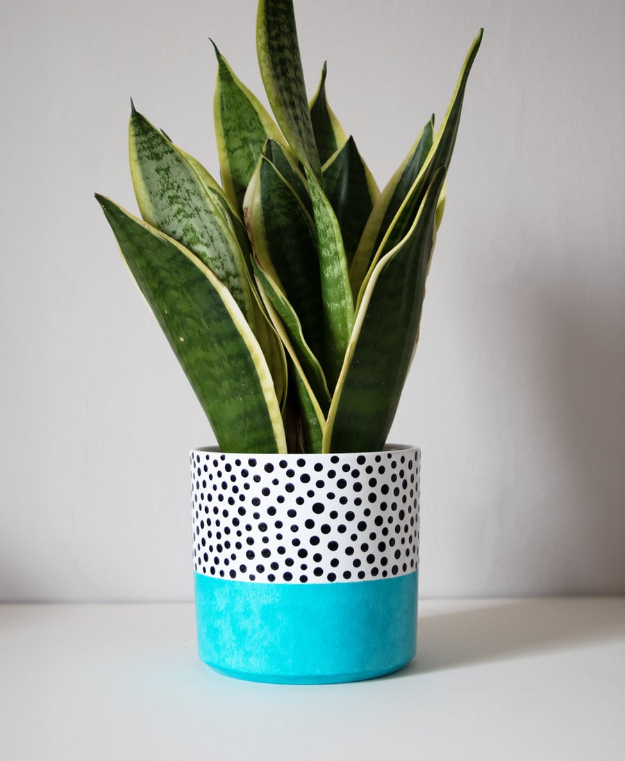 Blue Polka Dot Colour Pop Plant Pot