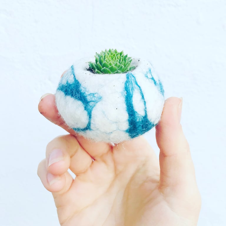 Tiny Felt Bowl for Cacti – Handmade Merino Wool & Silk Planter Cozy