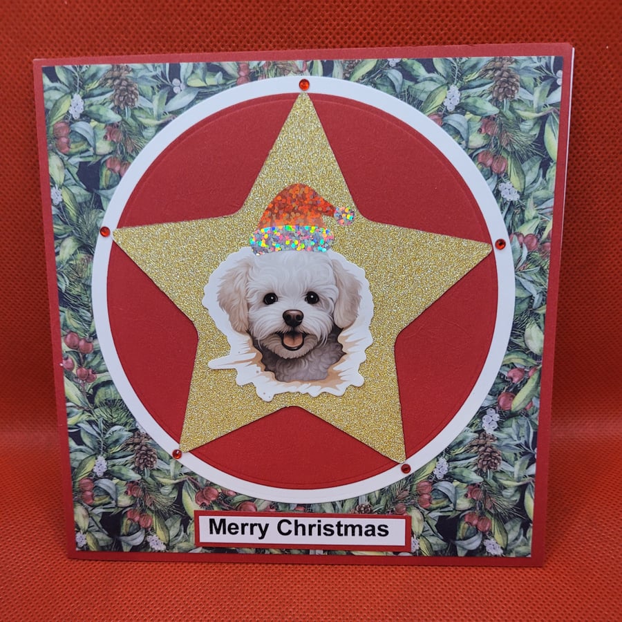 Xmas Star Dog Christmas Card Bichon Frise