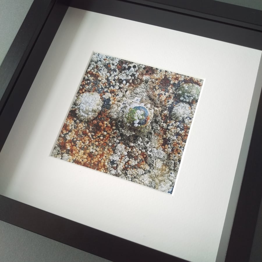 Barnacles and Rusty Bolts - Up Close Coast Framed Photograph
