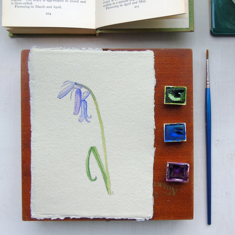 Original Watercolour English Bluebell Painting unframed