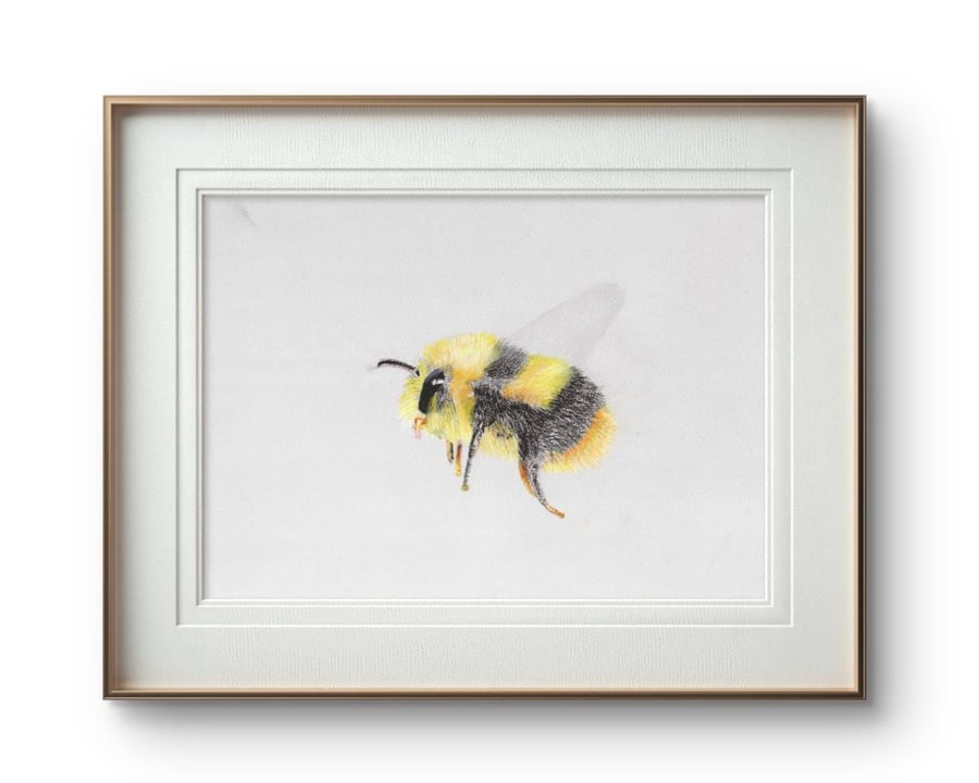 Bumble Bee Pastel Drawing Print