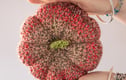 Crochet