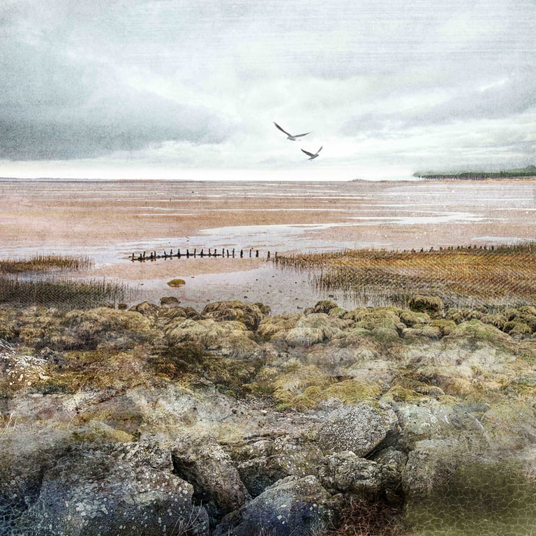 Tayport Fife. Archival art print by Scottish artist Carol McEwan