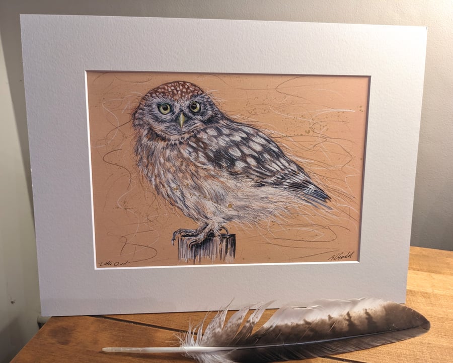 Little Owl- An A4 or A3 Mounted Print of an Original Drawing