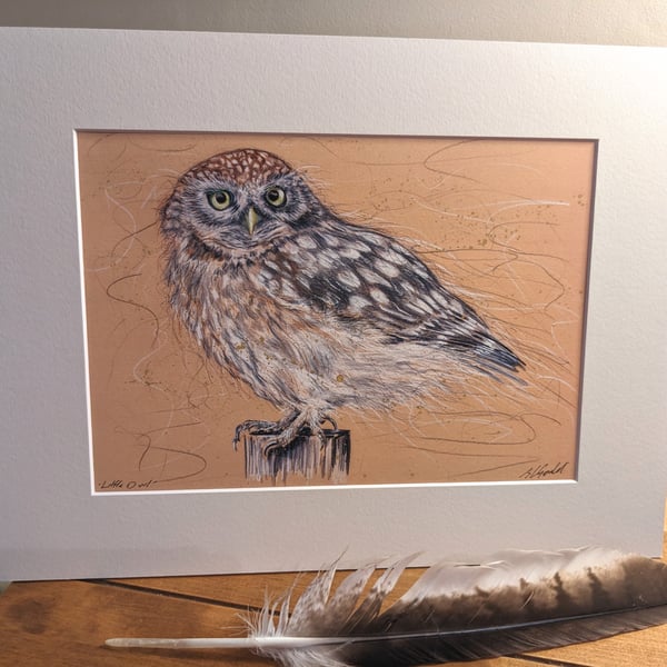 Little Owl- An A4 or A3 Mounted Print of an Original Drawing