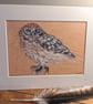 Little Owl- An A4 or A3 Mounted Print of an Original Drawing