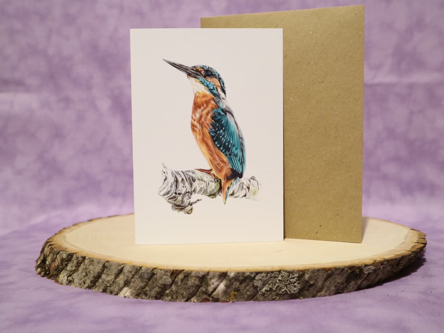 Kingfisher A6 any occasion greeting card