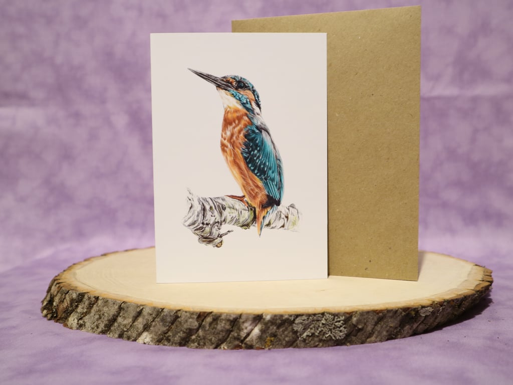GC4  Kingfisher A6 any occasion greeting card