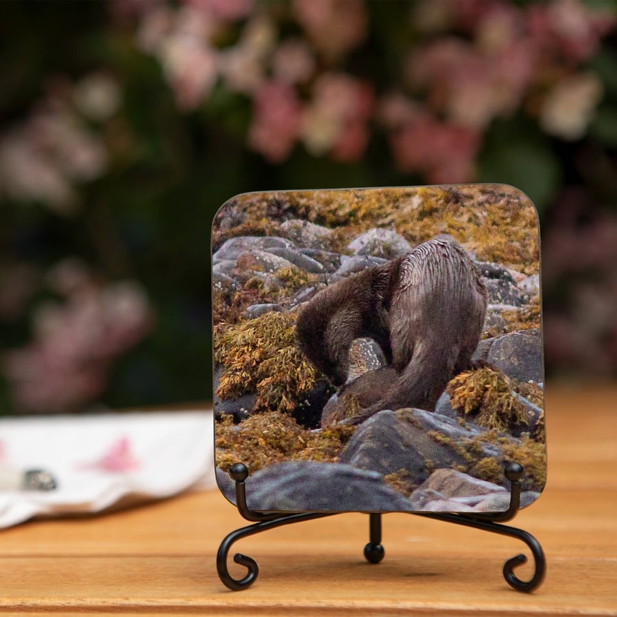 Otter Wooden Coaster - Original Animal Photo Gifts - Wildlife Scene Coaster - Dr
