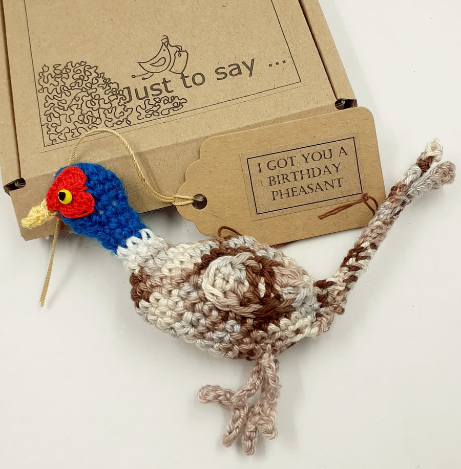 Crochet Pheasant Decoration- Alternative to a Birthday Card