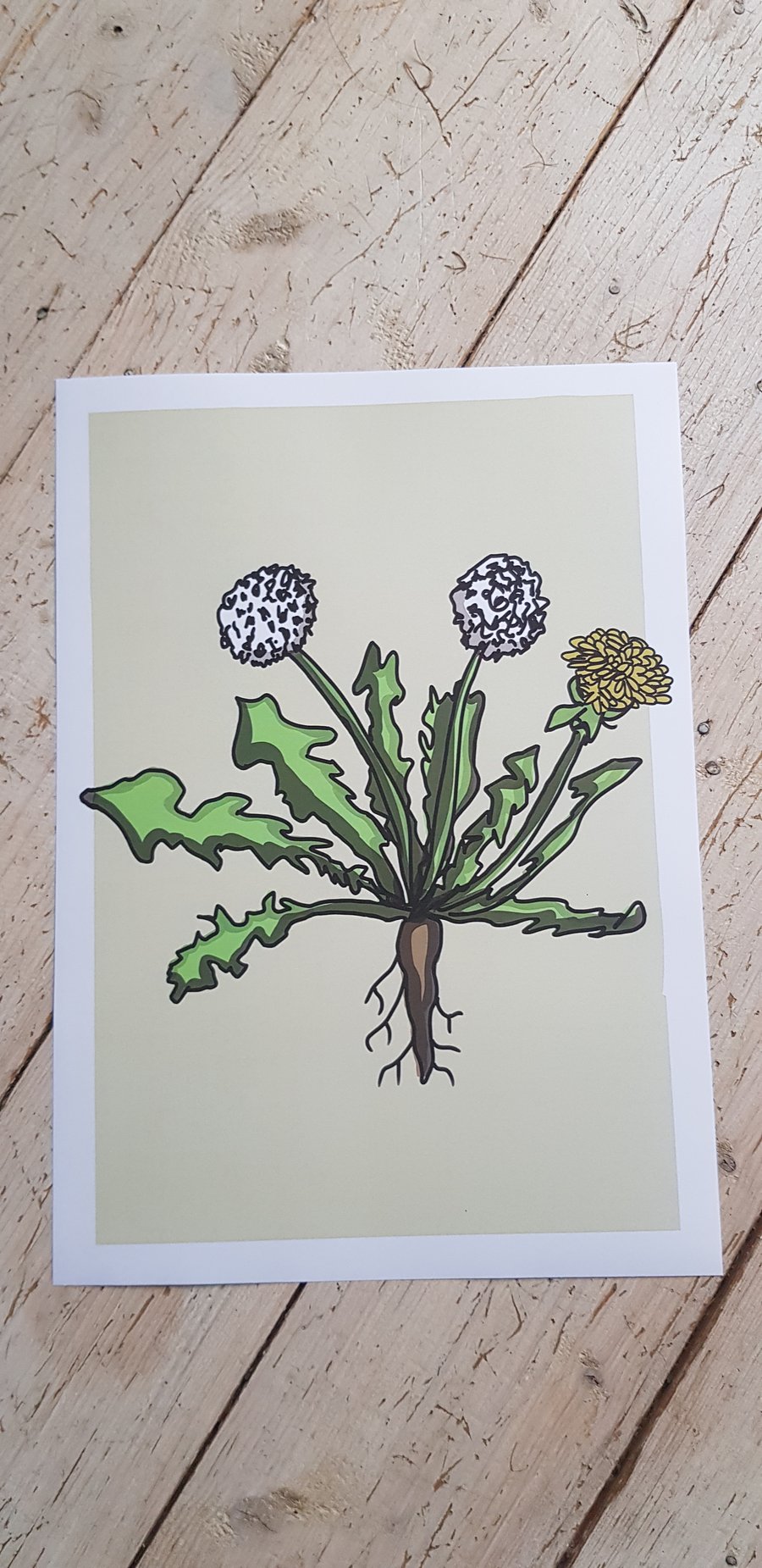Dandelion A4 digital print with border